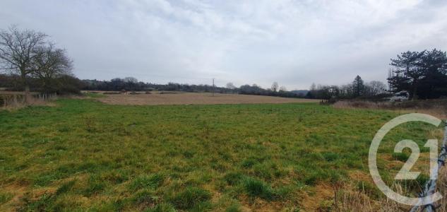 Vente Terrain MAINTENAY 62870