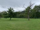 Annonce Vente Terrain Plancher-bas