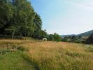 Annonce Vente Domaine forestier Giromagny