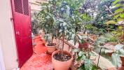 Apartment CANNES BASSE CALIFORNIE