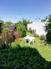Acheter Maison Marcq-en-baroeul 429000 euros
