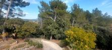 Annonce Vente 5 pièces Maison Draguignan
