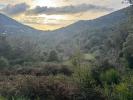 Annonce Vente Terrain Vico