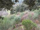 Acheter Terrain 1200 m2 Vico