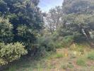 Acheter Terrain Vico Corse