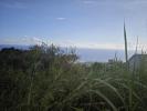 Vente Terrain Saint-leu 974