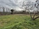 Annonce Vente 3 pices Maison Paunat