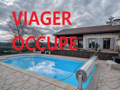 Vente Maison 5 pièces DRUILLAT 01160