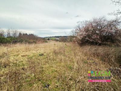 Vente Terrain THIERS 63300