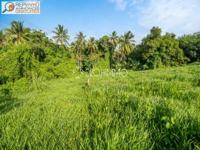 photo For sale Land DUCOS 972