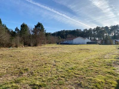 Vente Terrain MAGESCQ 40140