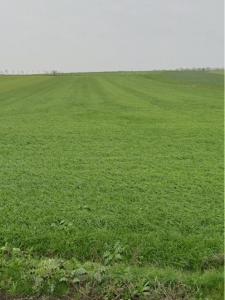 photo For sale Land VILLEDOUX 17