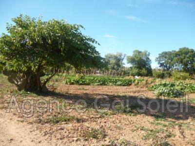 Vente Maison CAZOULS-LES-BEZIERS 