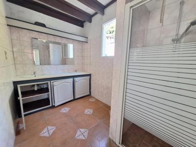 Vente Maison RAVINE-DES-CABRIS 