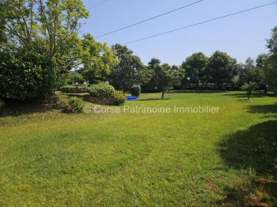 photo For sale House SANTA-LUCIA-DI-MORIANI 20