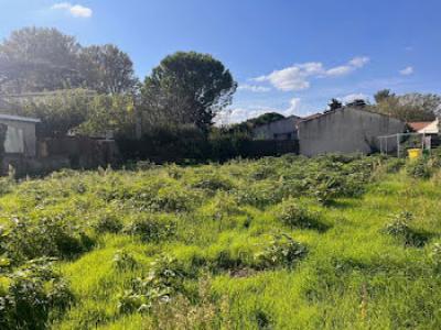 Vente Terrain MONTEUX 84170