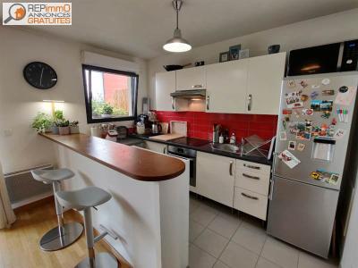 photo For rent Apartment SAINT-PIERRE 974