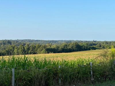 Vente Maison PAYZAC 24270
