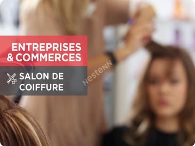 Vente Commerce VENDOME 41100