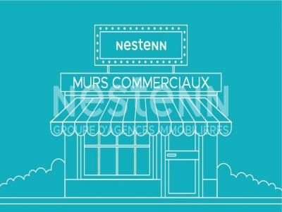 Vente Local commercial HUISSEAU-SUR-COSSON 41350