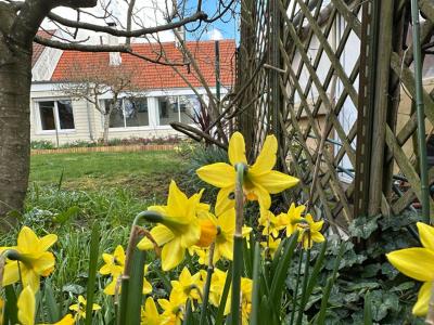 photo For sale House SAINTE-LUCE-SUR-LOIRE 44