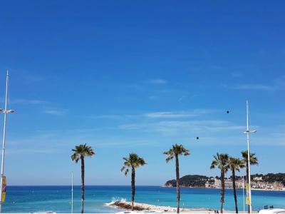 photo For sale House SIX-FOURS-LES-PLAGES 83