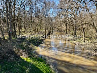 Vente Prestige LAMOTTE-BEUVRON 41600