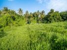 For sale Land Ducos 97224