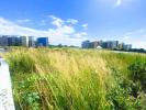 Acheter Terrain 339 m2 Sainte-marie