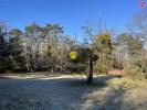 Acheter Maison Lamotte-beuvron 400000 euros