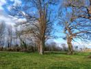 Annonce Vente Terrain Hinx