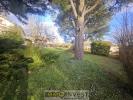 Acheter Prestige Isle Haute vienne