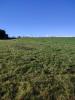 Annonce Vente Terrain Goudon