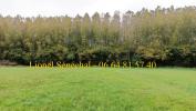 Acheter Terrain Saint-jean-d'asse 64990 euros