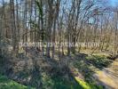 Annonce Vente Prestige Lamotte-beuvron