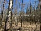 Acheter Prestige Lamotte-beuvron Loir et cher