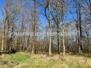 Acheter Prestige Lamotte-beuvron 1007000 euros