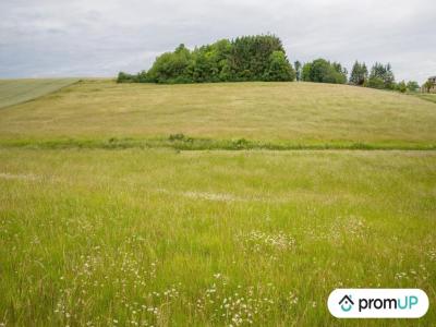 Vente Terrain AIGLEMONT 08090