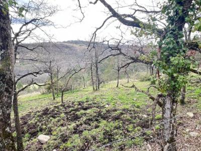 photo For sale Land FAYCELLES 46