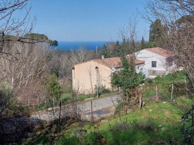 photo For sale Land VILLE-DI-PARASO 20