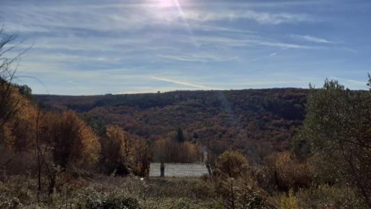 Vente Terrain ARTIGNOSC-SUR-VERDON  83