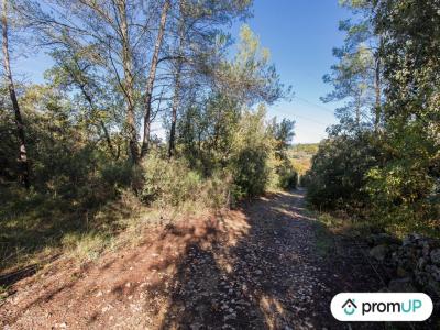 Vente Terrain CANNET-DES-MAURES 83340