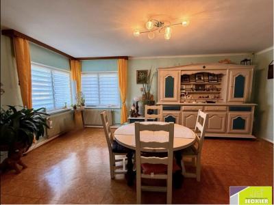 Vente Maison NEUF-BRISACH 