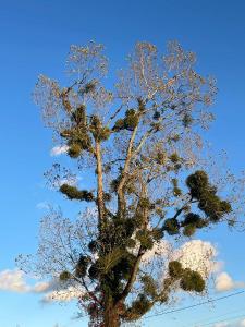 photo For sale Land FEILLENS 01