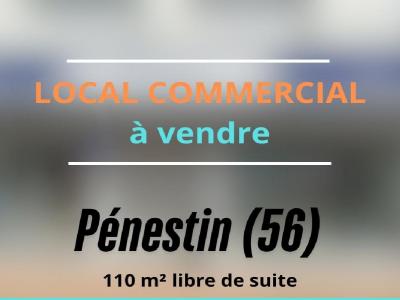 Vente Maison PENESTIN  56