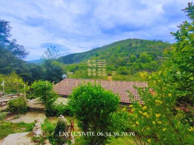 photo For sale House VILLEFORT 48