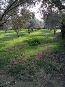 For sale House CARCES 