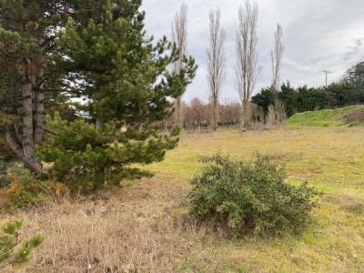 For sale House MARGES 