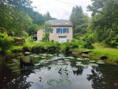 For rent House EGLETONS 