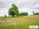 Acheter Terrain Aiglemont Ardennes